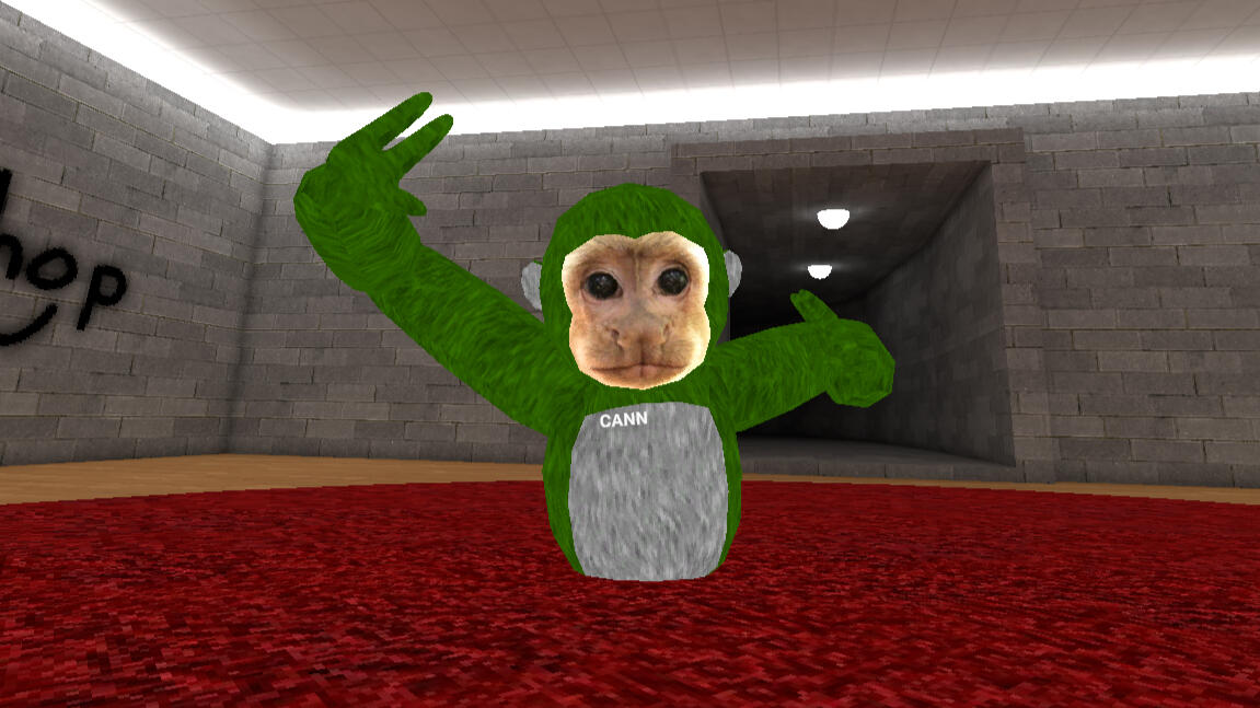 Cann | Founder | Main Developer